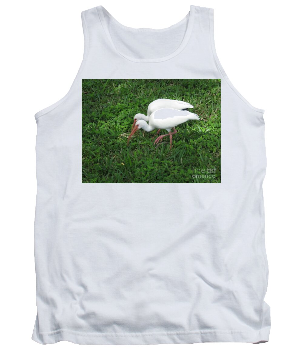 Ibis Tank Top featuring the photograph Walking in Rhythm by World Reflections By Sharon