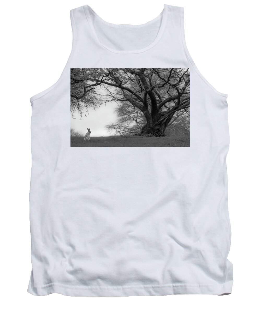 Hare Tank Top featuring the photograph Watership Down by Rob Hemphill