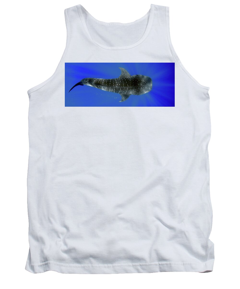 Whale Shark Tank Top featuring the photograph Whale shark by Artesub