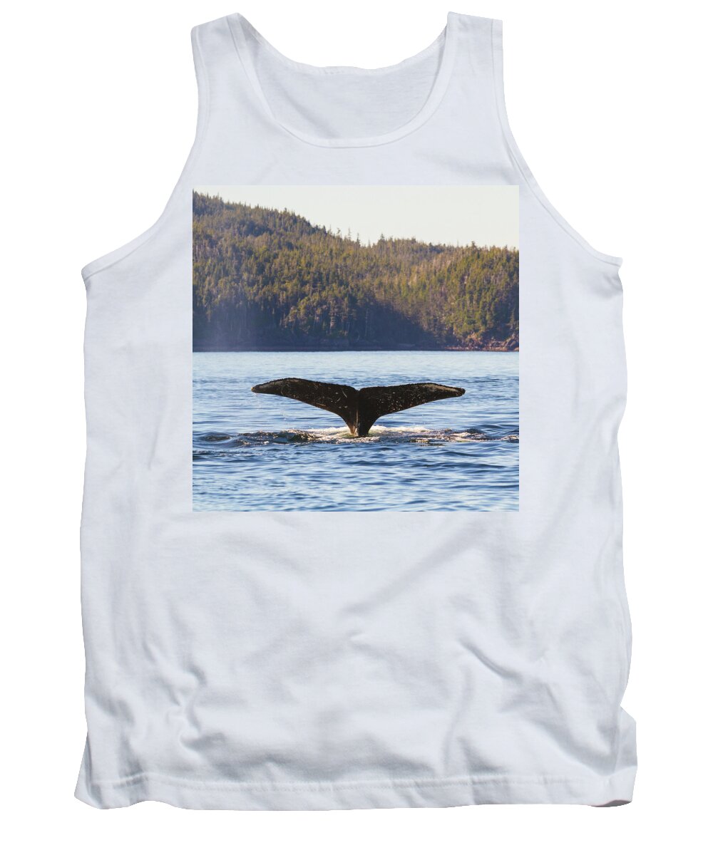 Whale Tale Tank Top featuring the photograph Whale Tale 3 by Michael Rauwolf
