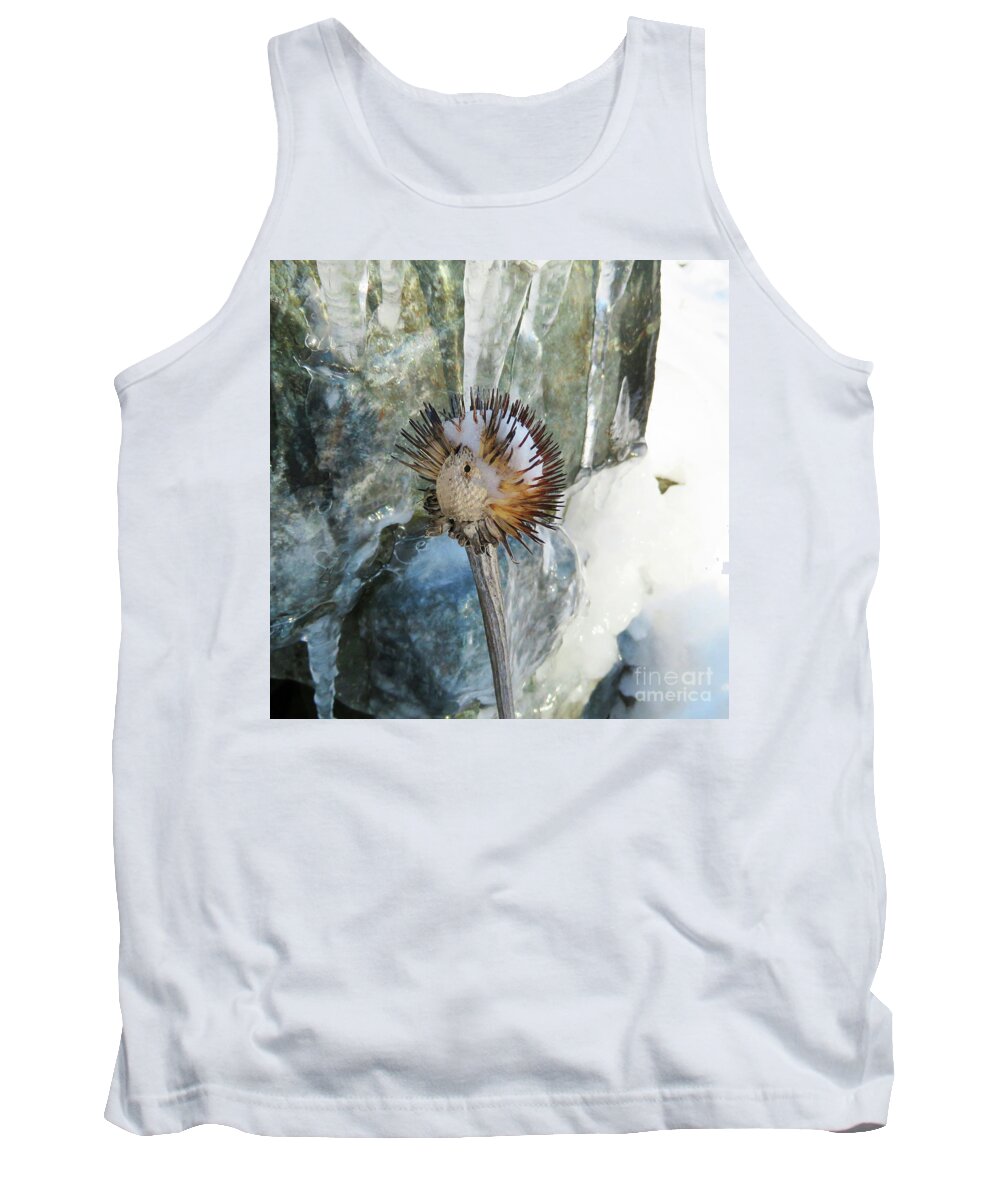 Winter Tank Top featuring the photograph Winter Botanical 18 by Amy E Fraser