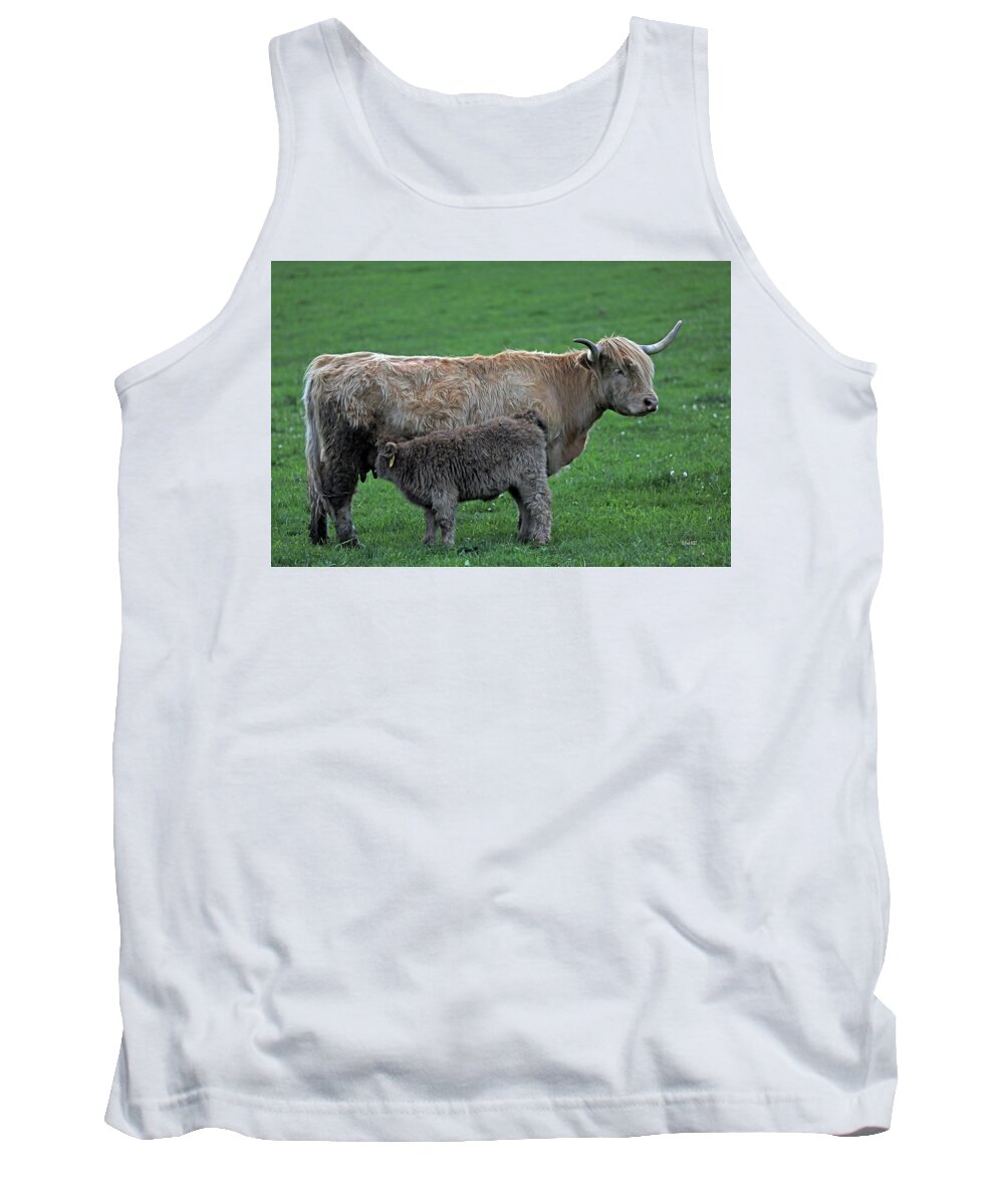 Scottish Tank Top featuring the photograph Wixom Farm Highland Cattle - Mom Nursing by Terry Cork