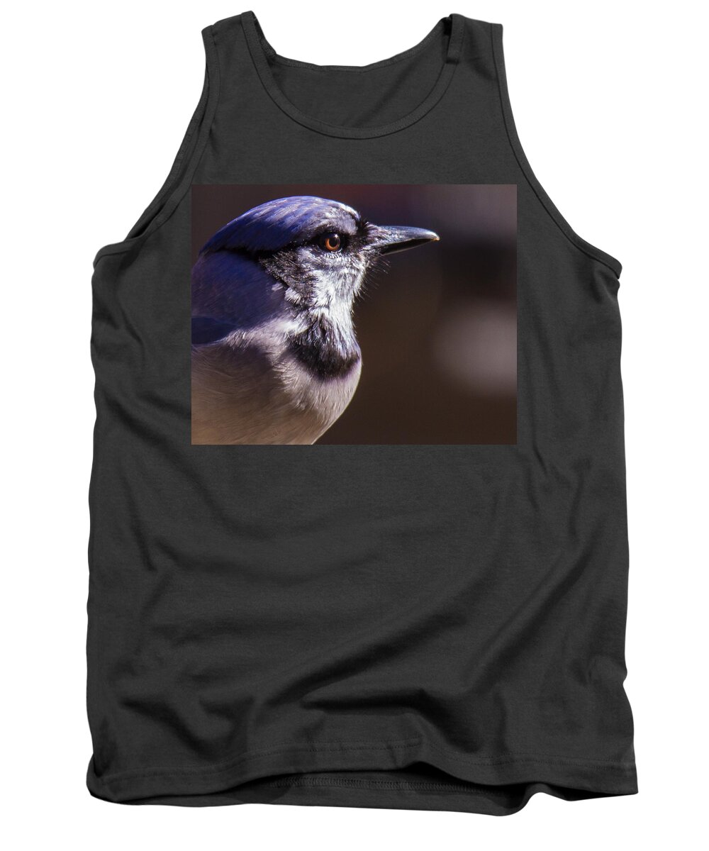 Bluejay Tank Top featuring the photograph Bluejay #1 by Robert L Jackson