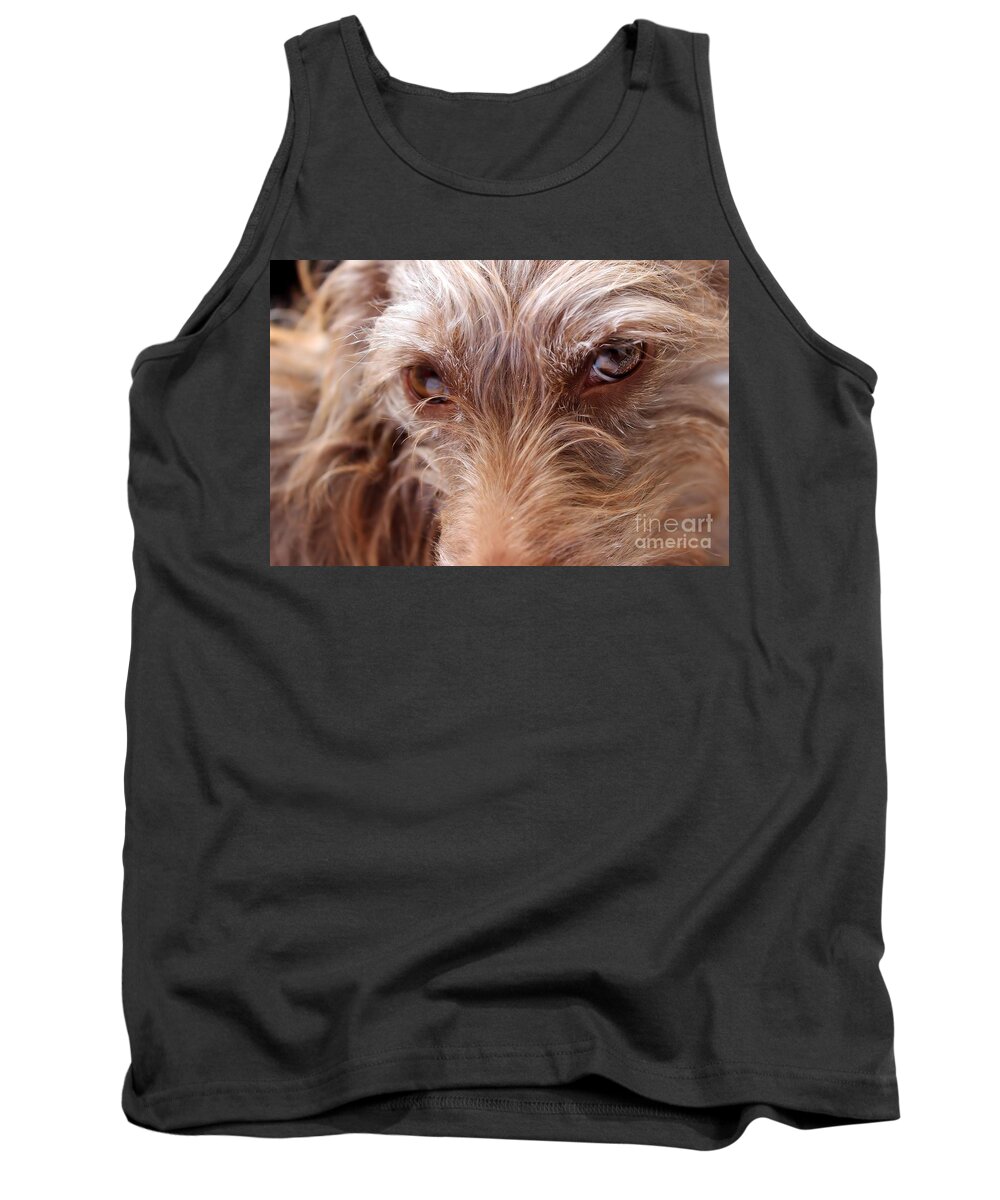 Brown Tank Top featuring the photograph Dog Stare #1 by Janice Byer