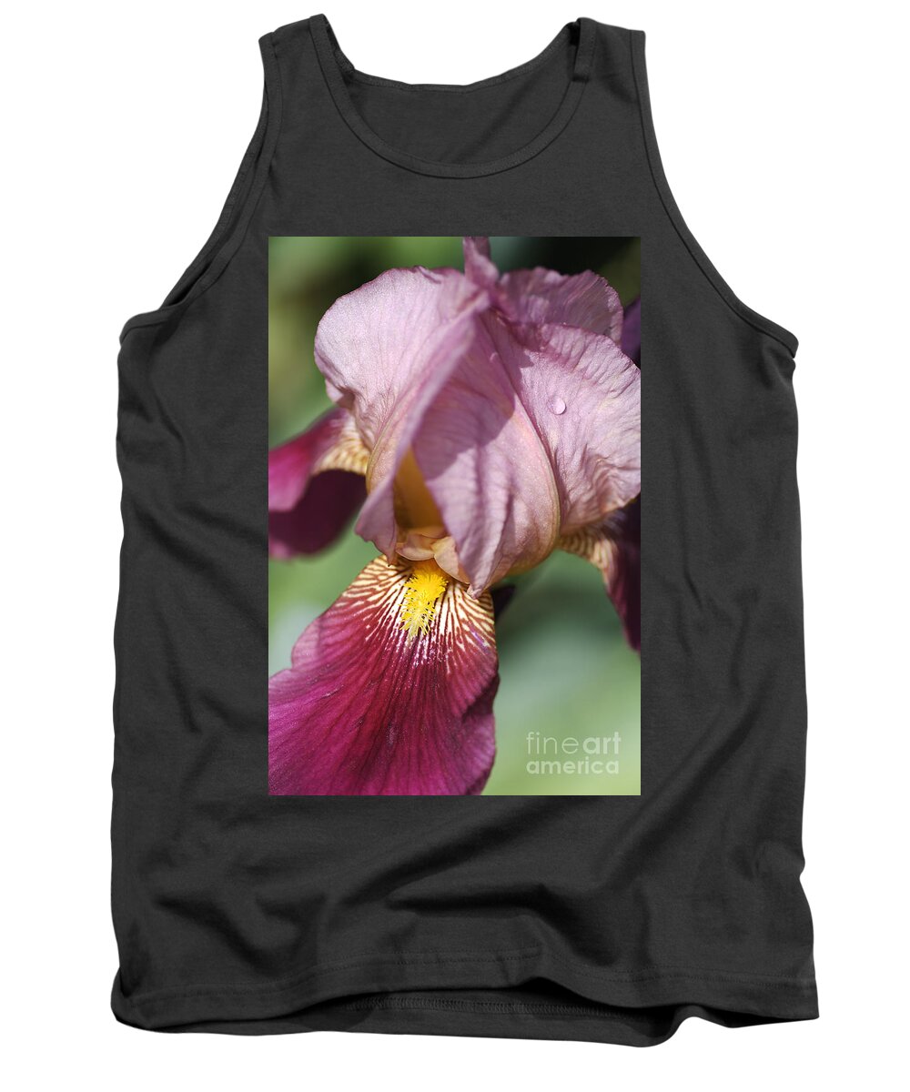 Iridaceae Tank Top featuring the photograph Iris #3 by Joy Watson