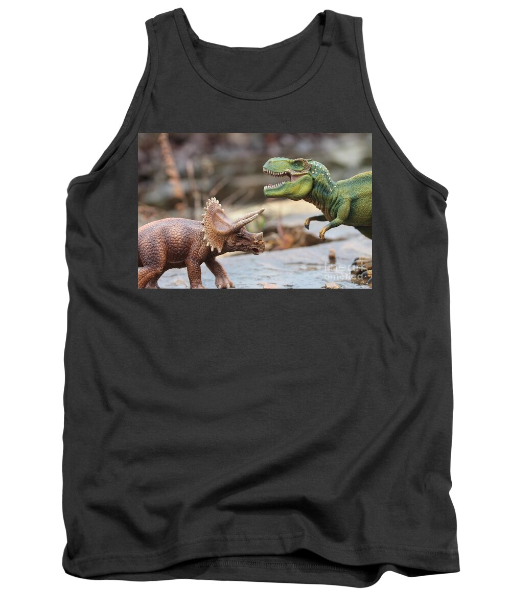  Dinosaurs Tank Top featuring the photograph On the rocks #1 by Dwight Cook