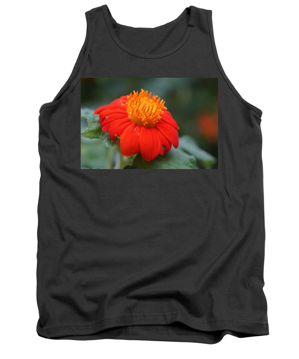 Orange Tank Top featuring the photograph Orange Flower #1 by Alan Hutchins
