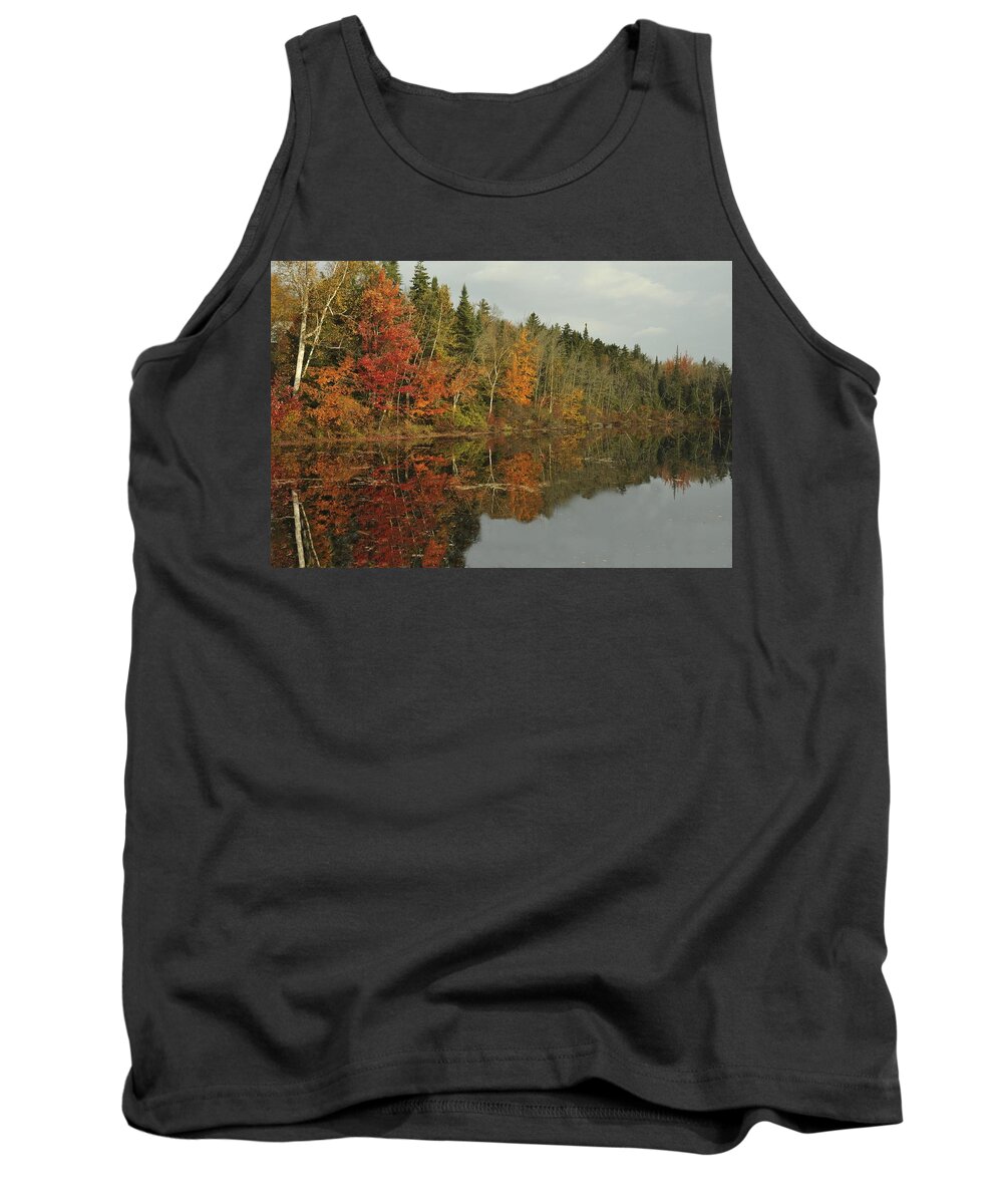 Photograph Tank Top featuring the photograph Tree Reflections by Richard Gehlbach