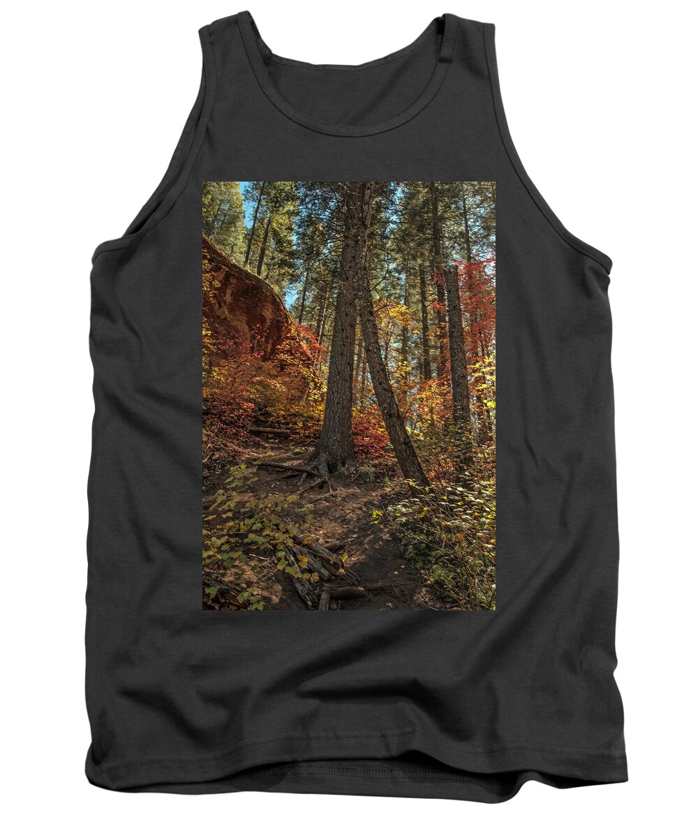 Fall Tank Top featuring the photograph West Fork Fall Color #7 by Tam Ryan