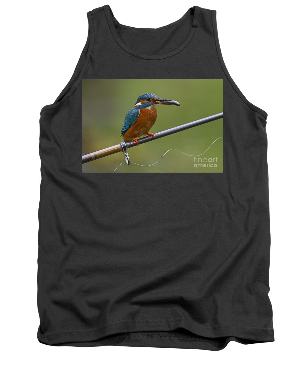 Common Kingfisher Tank Top featuring the photograph 140915p058 by Arterra Picture Library