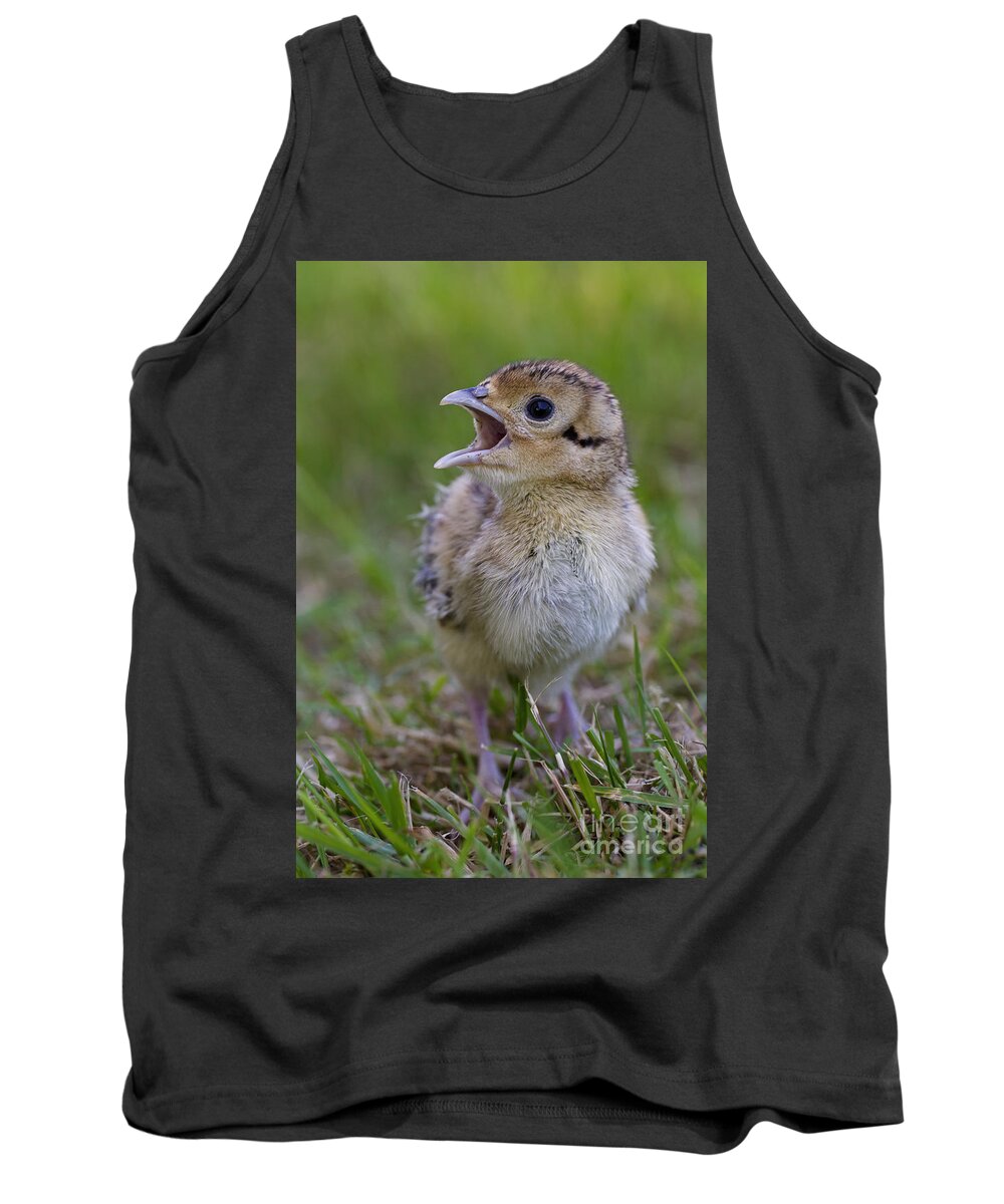 Young Tank Top featuring the photograph 150112p305 by Arterra Picture Library