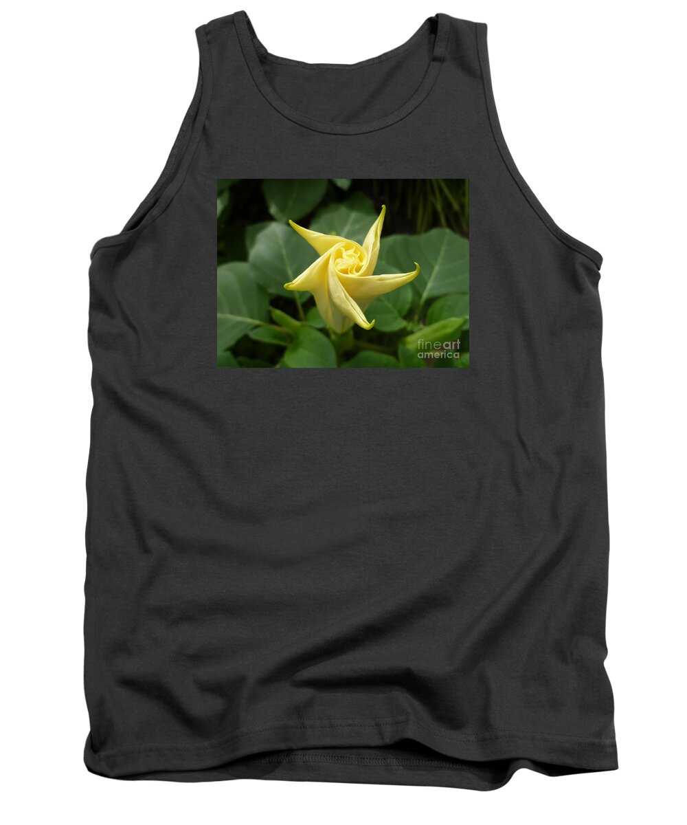 Flower Macro Tank Top featuring the photograph A Star Is Born 001 by Lingfai Leung
