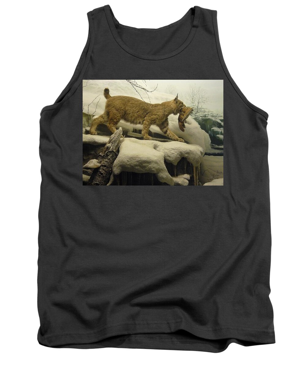 Wildlife Tank Top featuring the photograph Bobcat Diorama #2 by Mary Ann Leitch