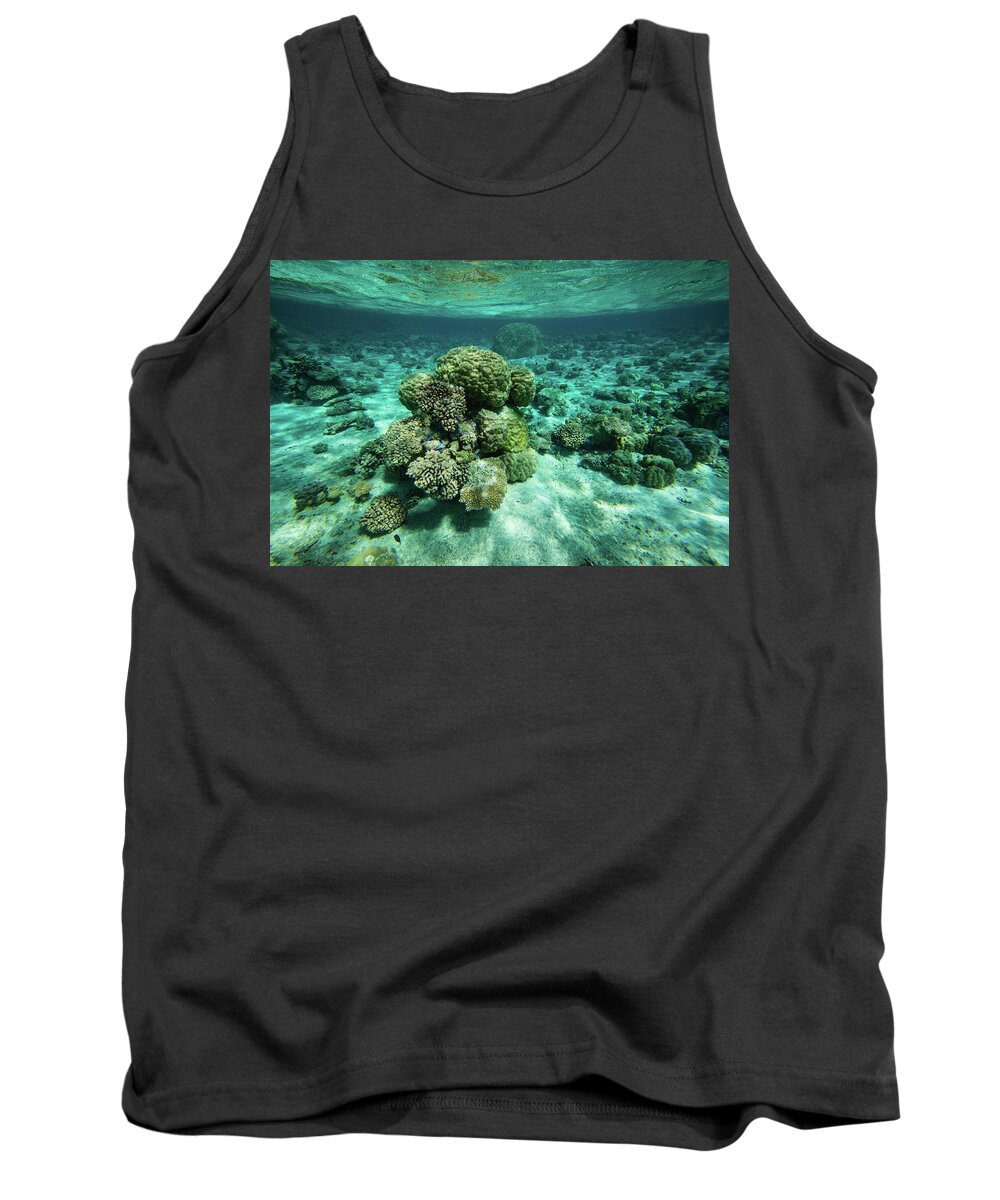 Photography Tank Top featuring the photograph Coral Reef In The Pacific Ocean, Bora #2 by Panoramic Images
