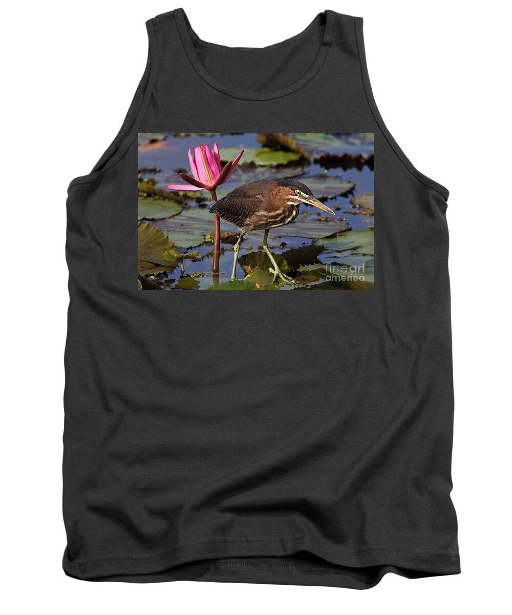 Green Heron Tank Top featuring the photograph Green Heron Photo #2 by Meg Rousher