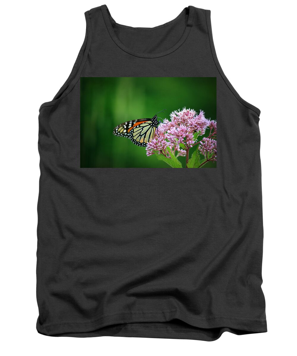 Butterfly Tank Top featuring the photograph Monarch in Light by Neal Eslinger