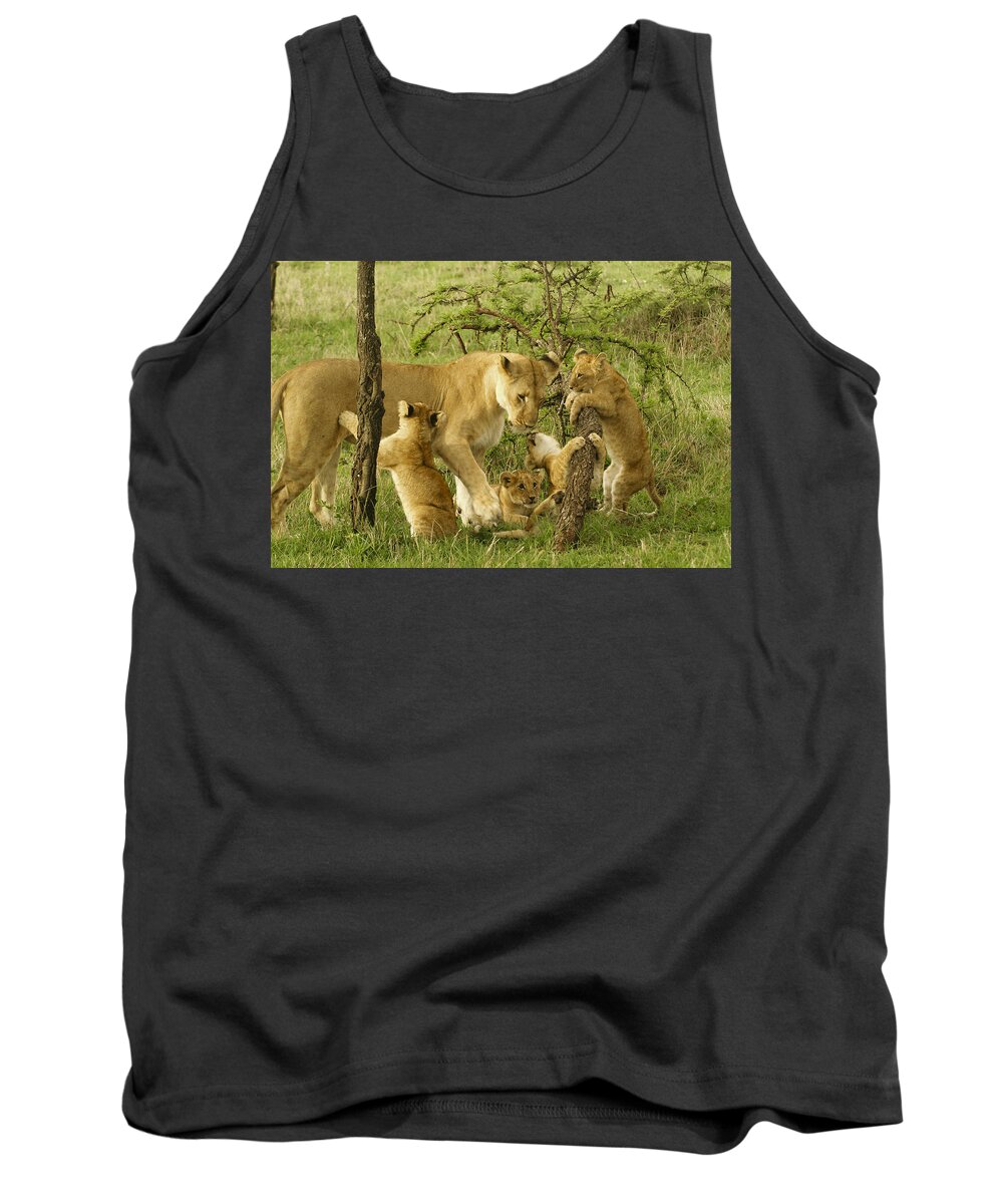 Lion Tank Top featuring the photograph Playing with Mom #2 by Michele Burgess