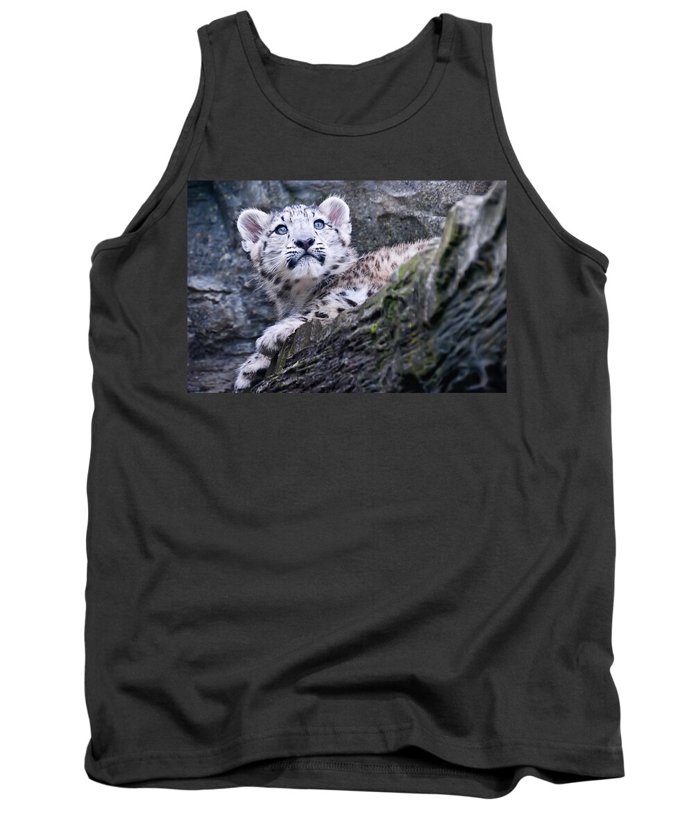 Marwell Tank Top featuring the photograph Snow Leopard Cub by Chris Boulton