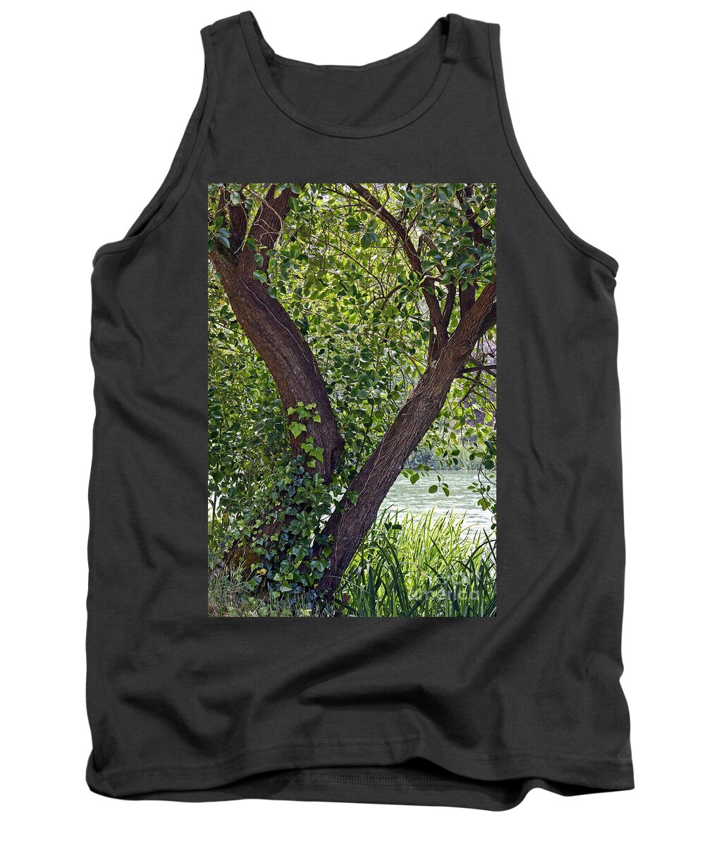 Kate Brown Tank Top featuring the photograph Tree at Stow Lake by Kate Brown