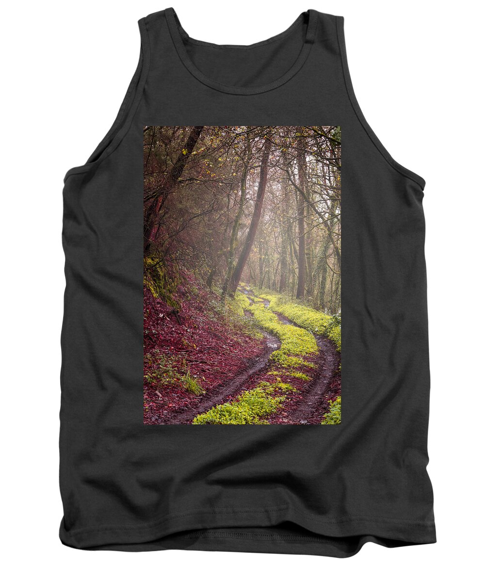 Autumn Tank Top featuring the photograph Winter landscape #2 by Paulo Goncalves