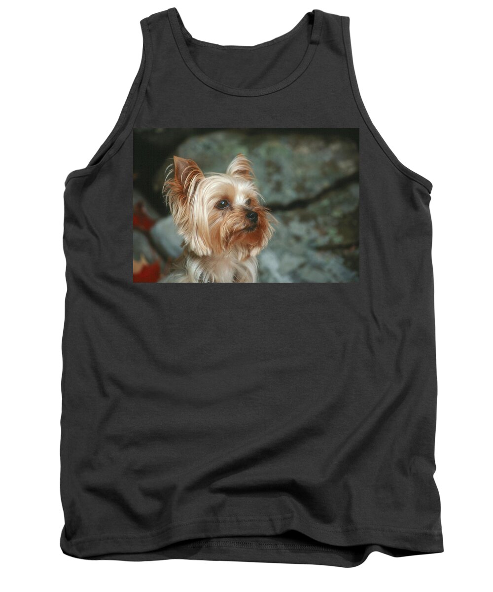 Animal Tank Top featuring the photograph Yorkshire Terrier #2 by Bonnie Sue Rauch