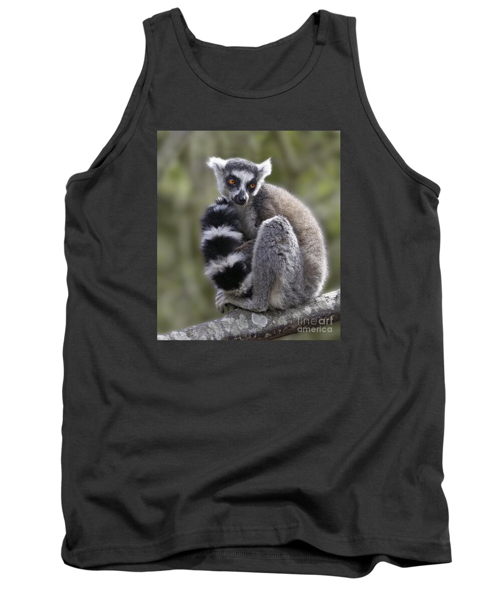 Ring-tailed Lemur Tank Top featuring the photograph Ring-tailed Lemur #1 by Liz Leyden