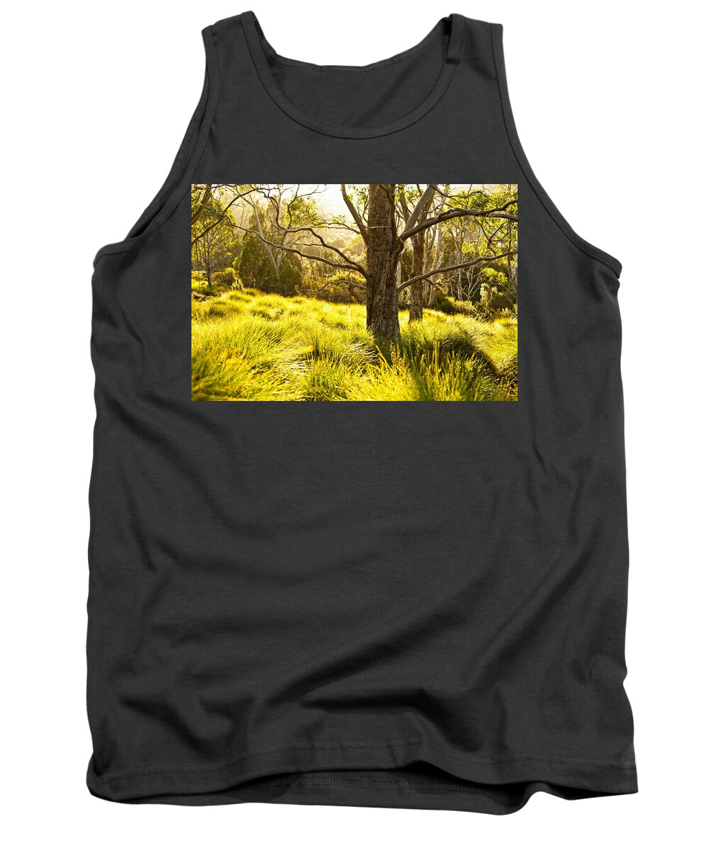 Autumn Tank Top featuring the photograph A Bare Tree by U Schade