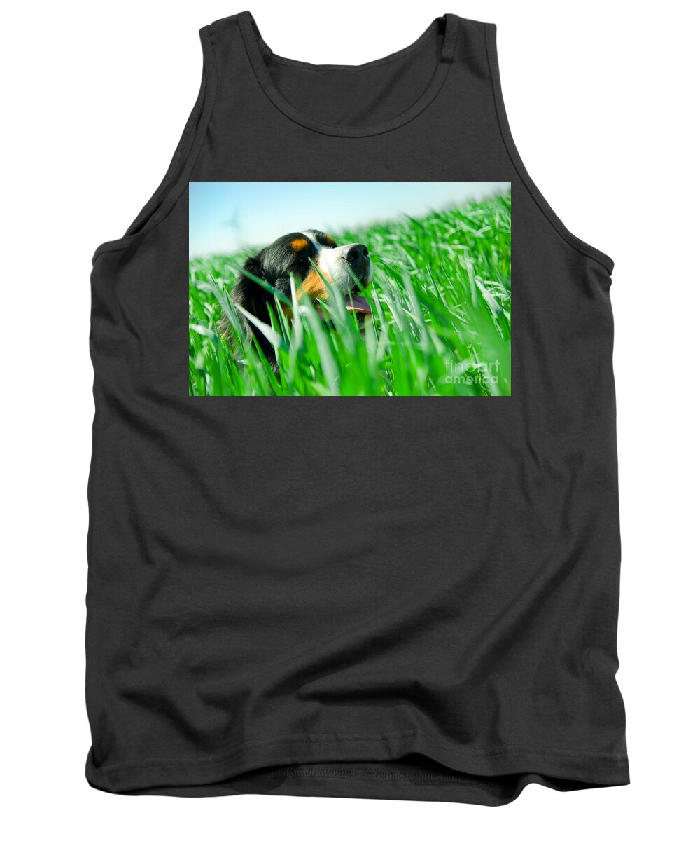 Adorable Tank Top featuring the photograph A cute dog in the grass by Michal Bednarek