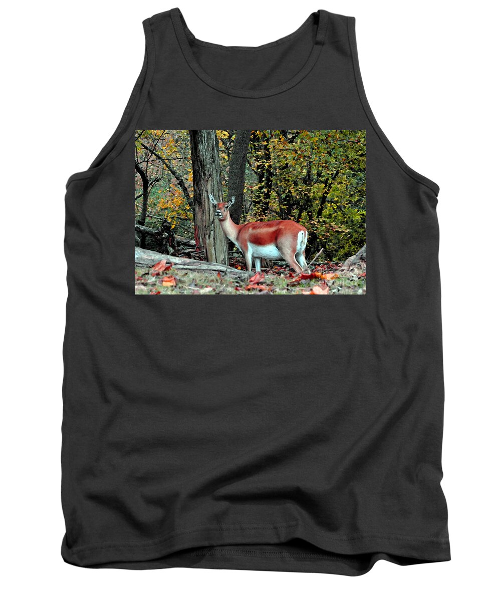 A Deer Look Tank Top featuring the photograph A Deer Look by Lydia Holly
