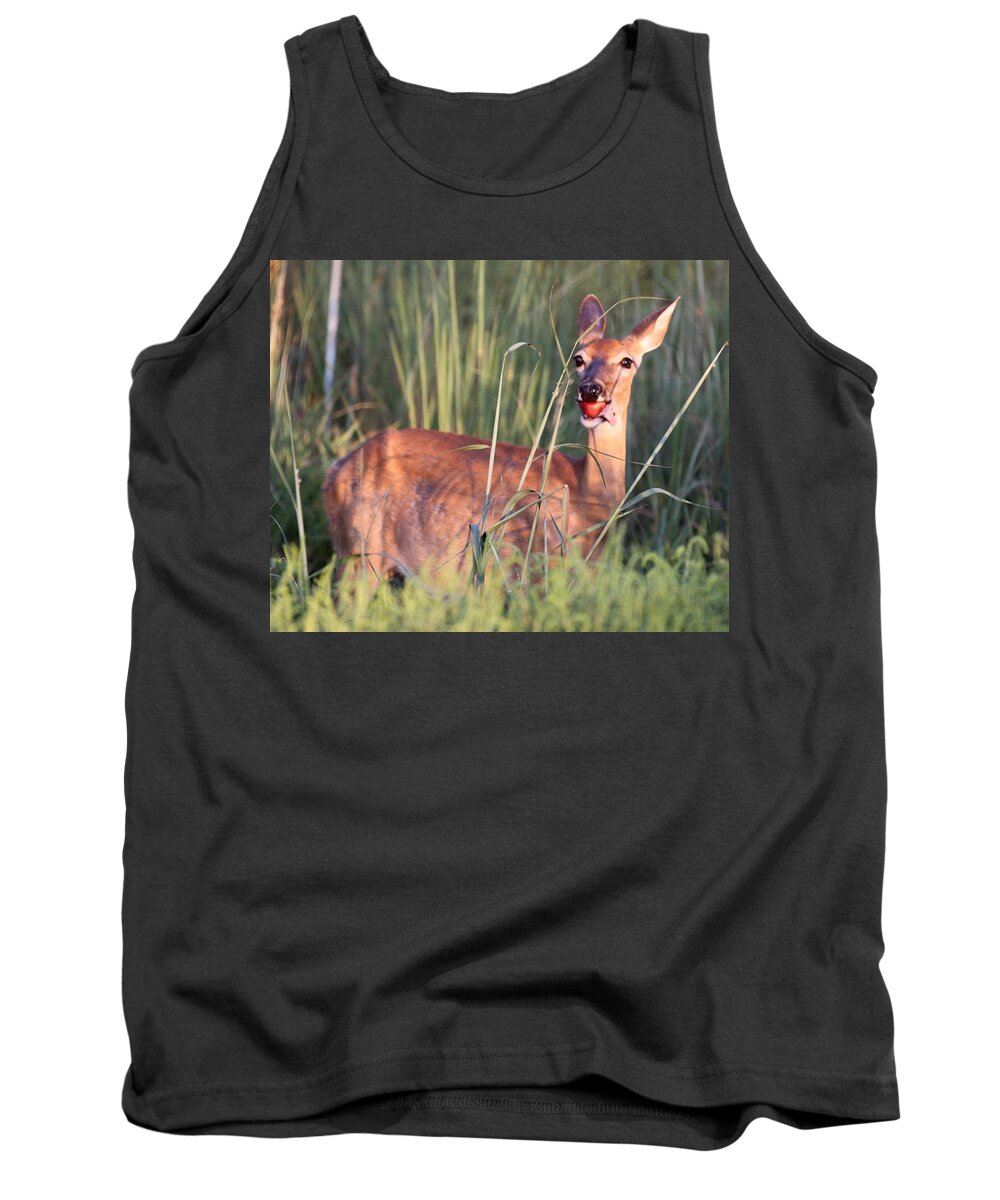 Deer Tank Top featuring the photograph A mouth full by Elizabeth Winter