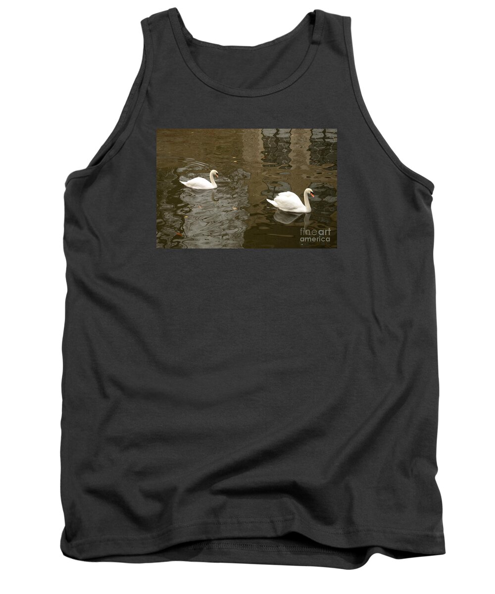 Swans Tank Top featuring the photograph A pair of swans Bruges Belgium by Imran Ahmed