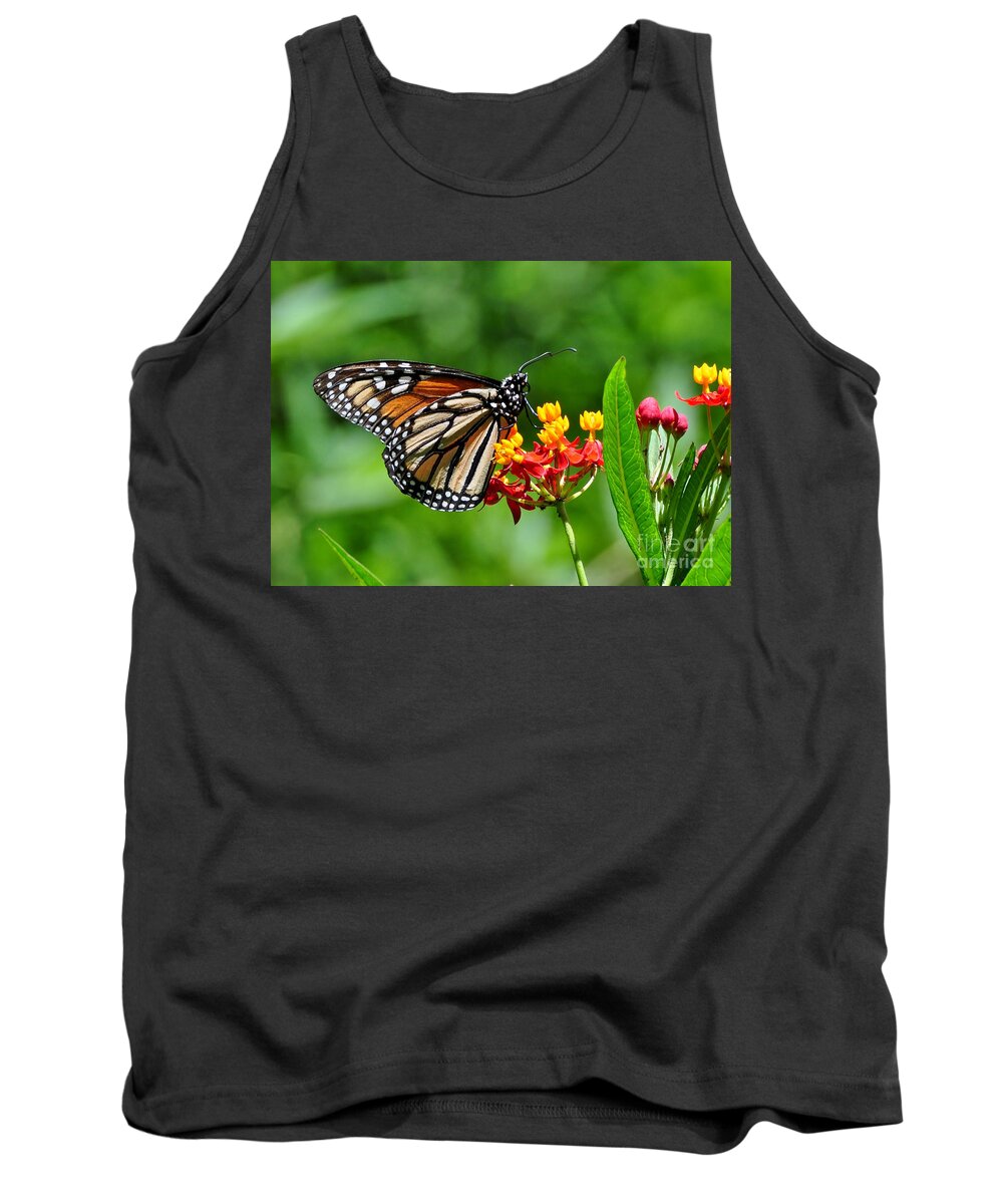Butterfly Tank Top featuring the photograph A Place To Settle Down by Kathy Baccari