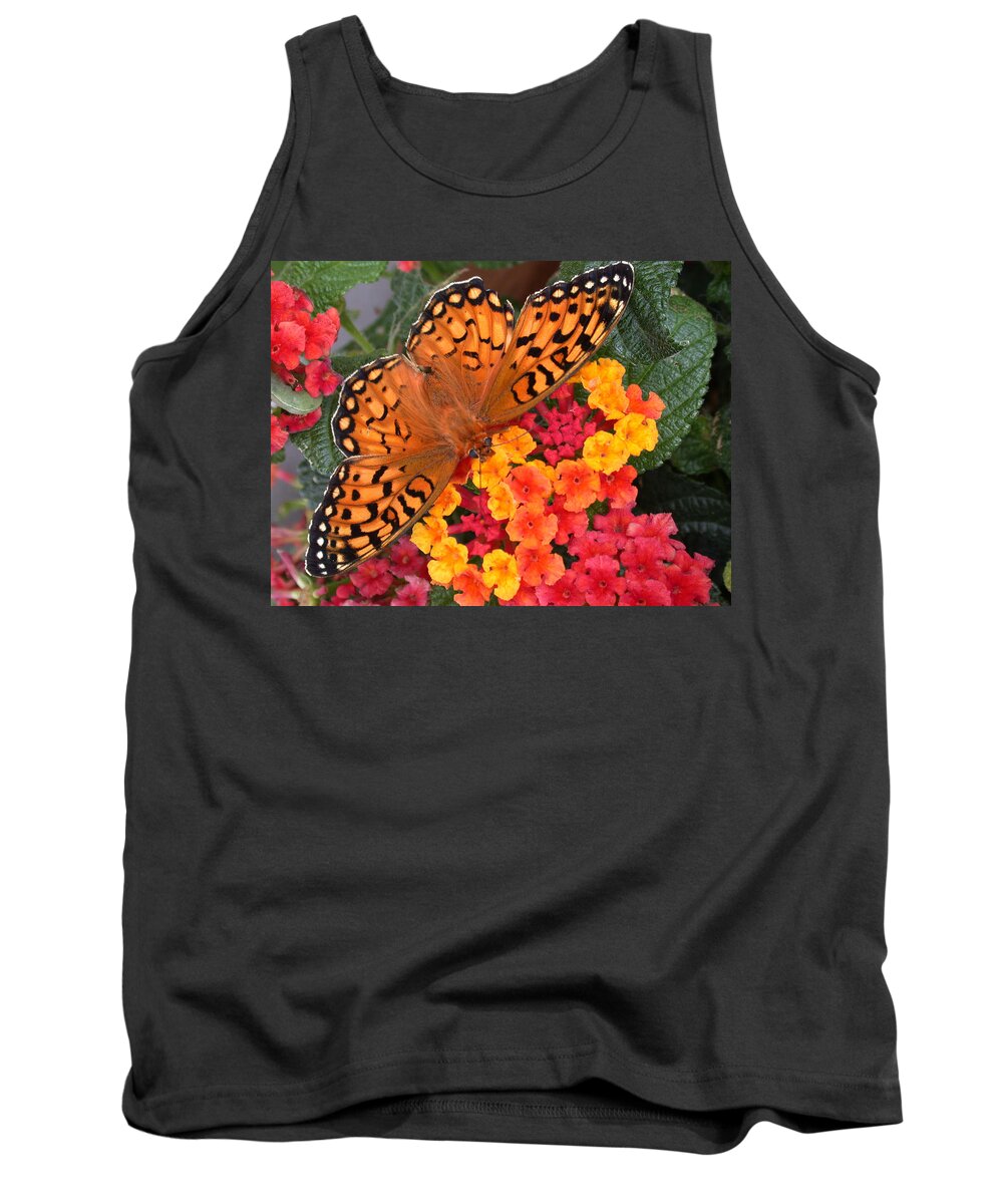 Butterfly Tank Top featuring the photograph A Quick Snack by Shane Bechler