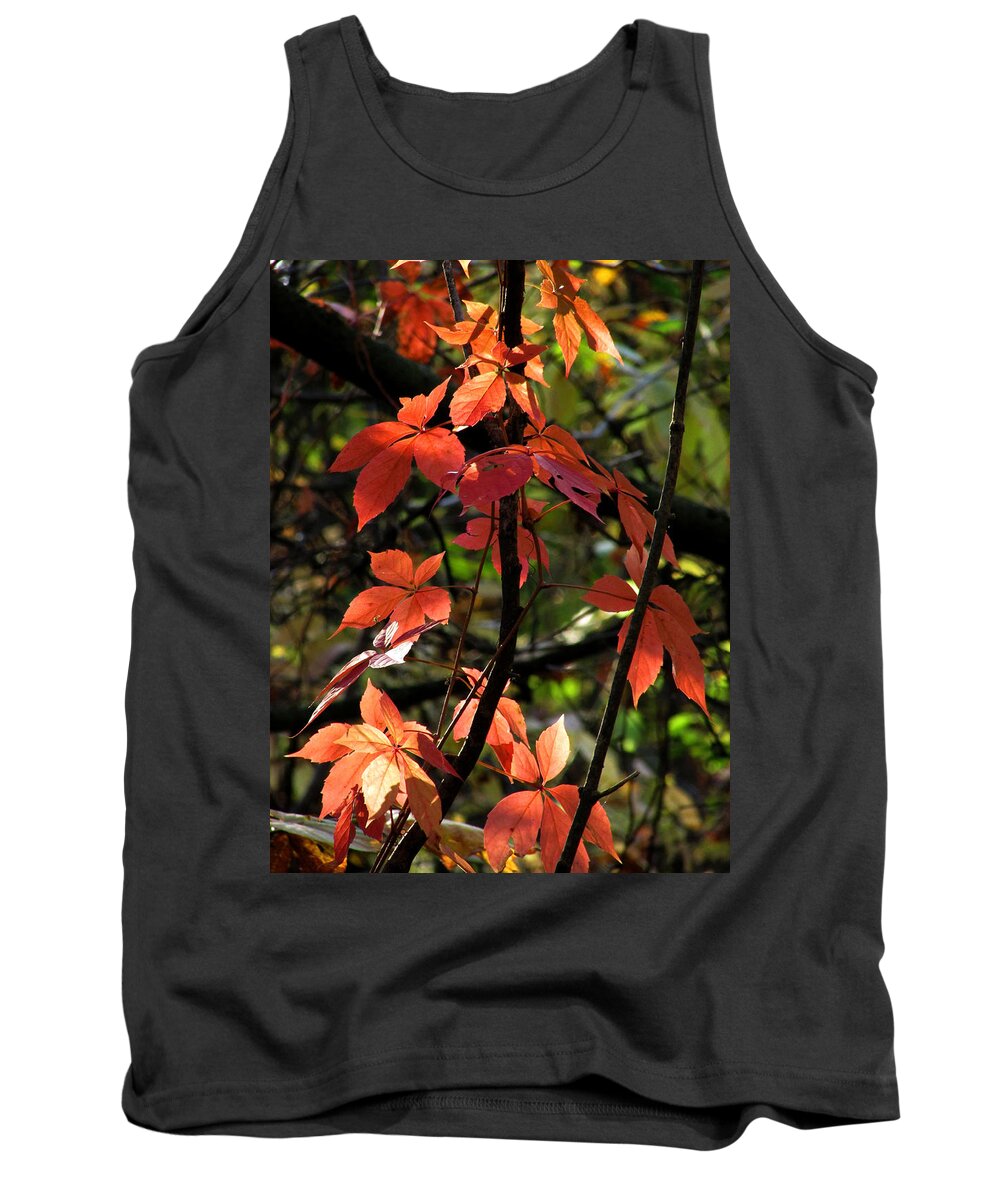 Autumn Leaves Tank Top featuring the photograph A Strand of Leaves II by Kimberly Mackowski