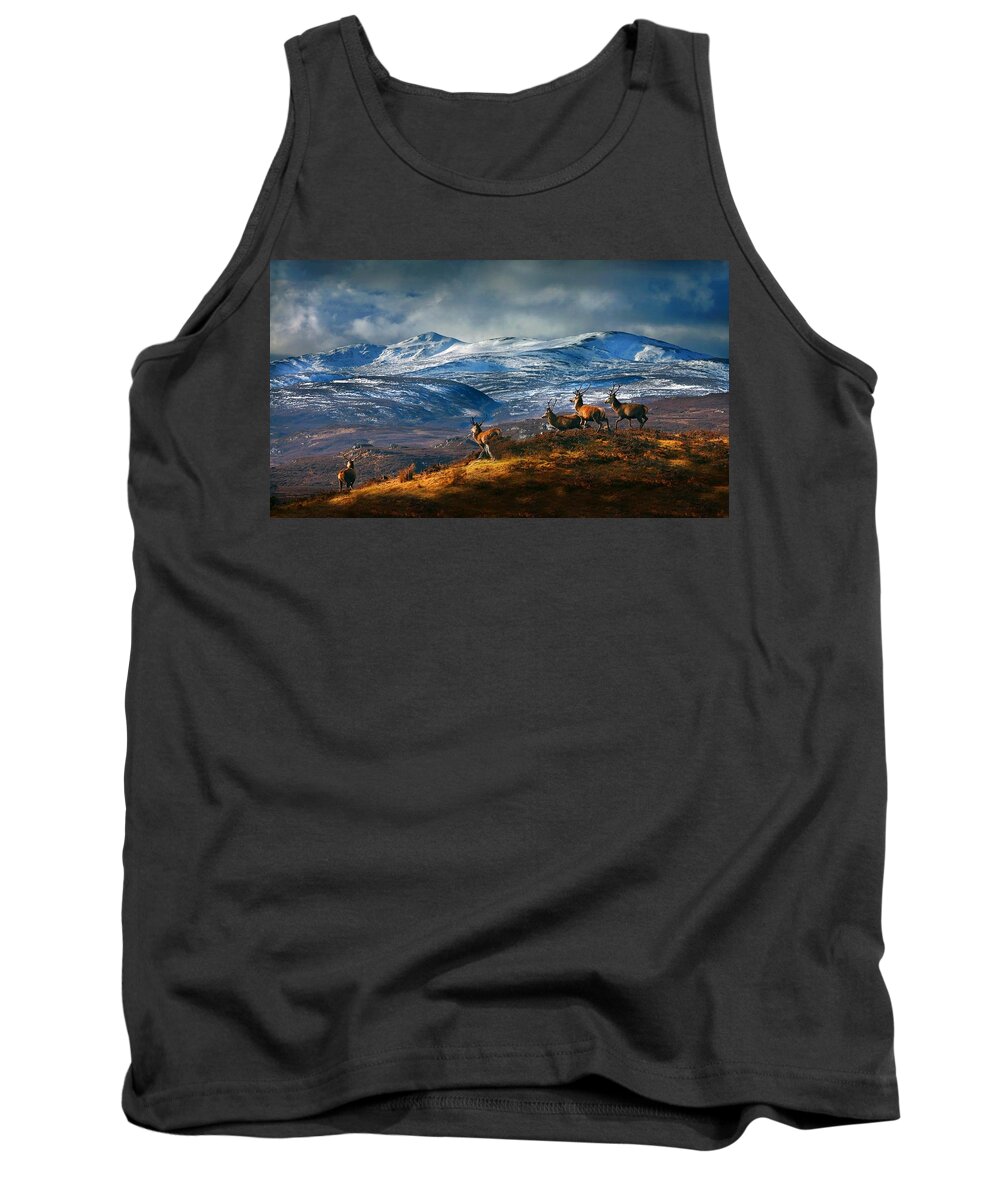 Stags Tank Top featuring the photograph Above Strathglass by Gavin Macrae