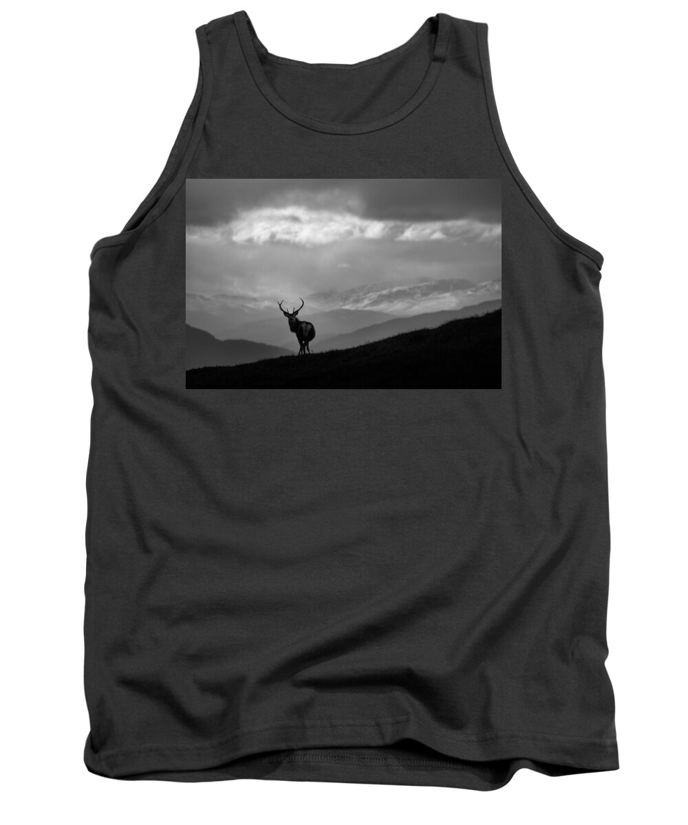 Stag Silhouette Tank Top featuring the photograph Above The Glens by Gavin Macrae