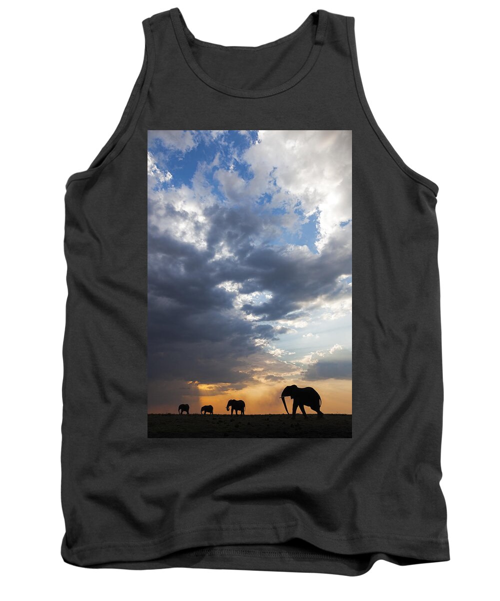 Vincent Grafhorst Tank Top featuring the photograph African Elephants At Sunset Botswana by Vincent Grafhorst