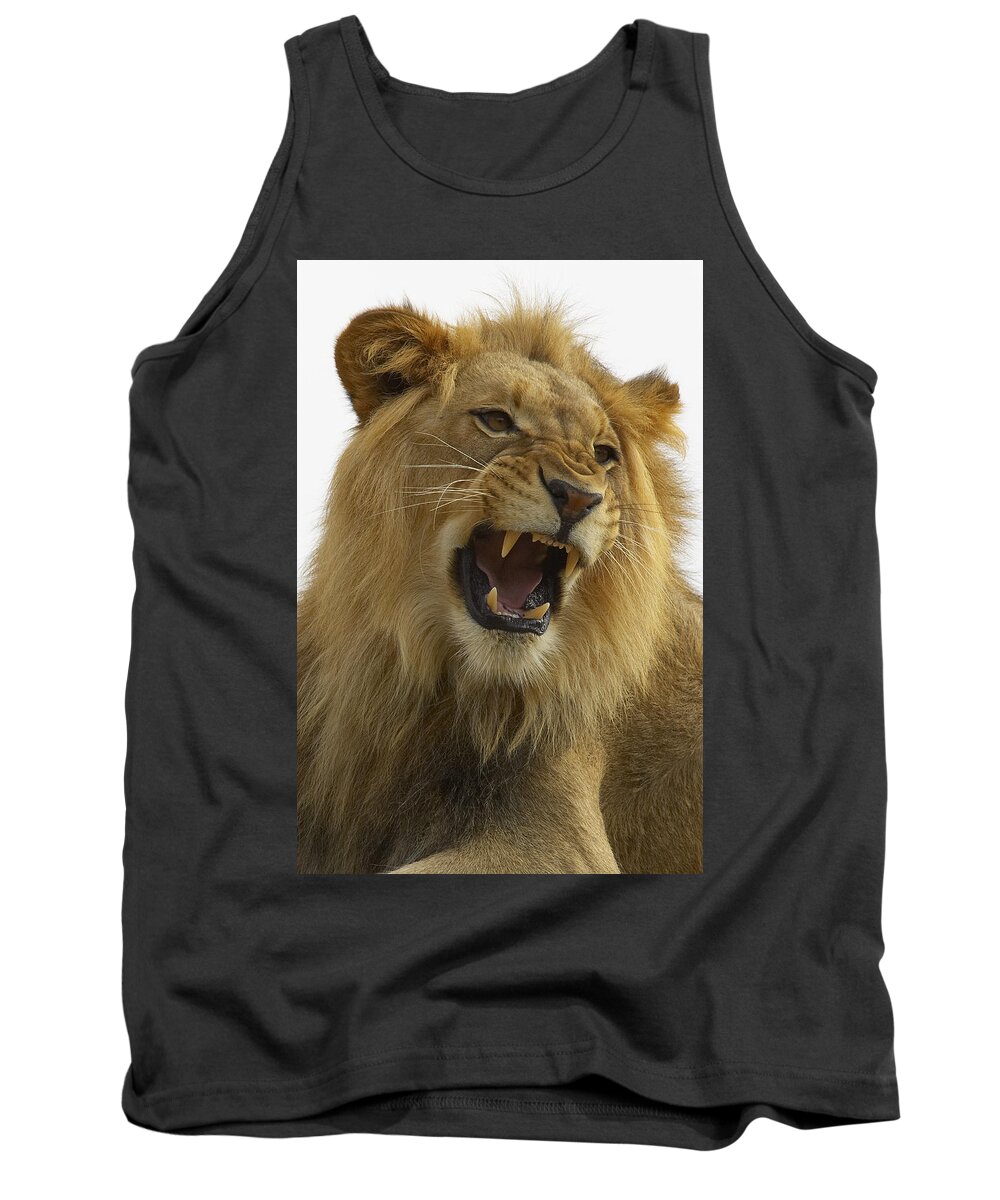 Feb0514 Tank Top featuring the photograph African Lion Male Growling by San Diego Zoo