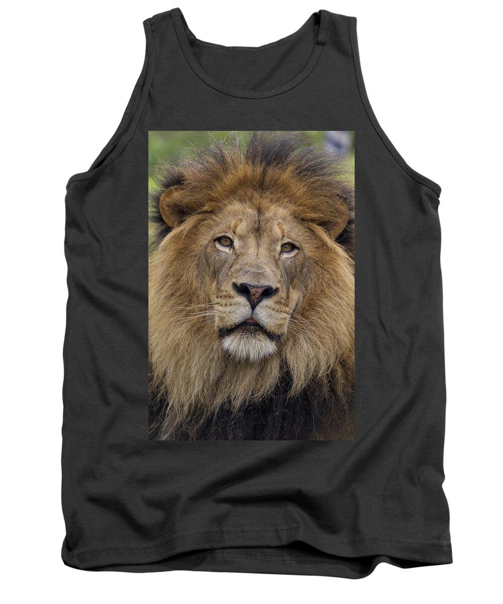 Feb0514 Tank Top featuring the photograph African Lion Male by San Diego Zoo