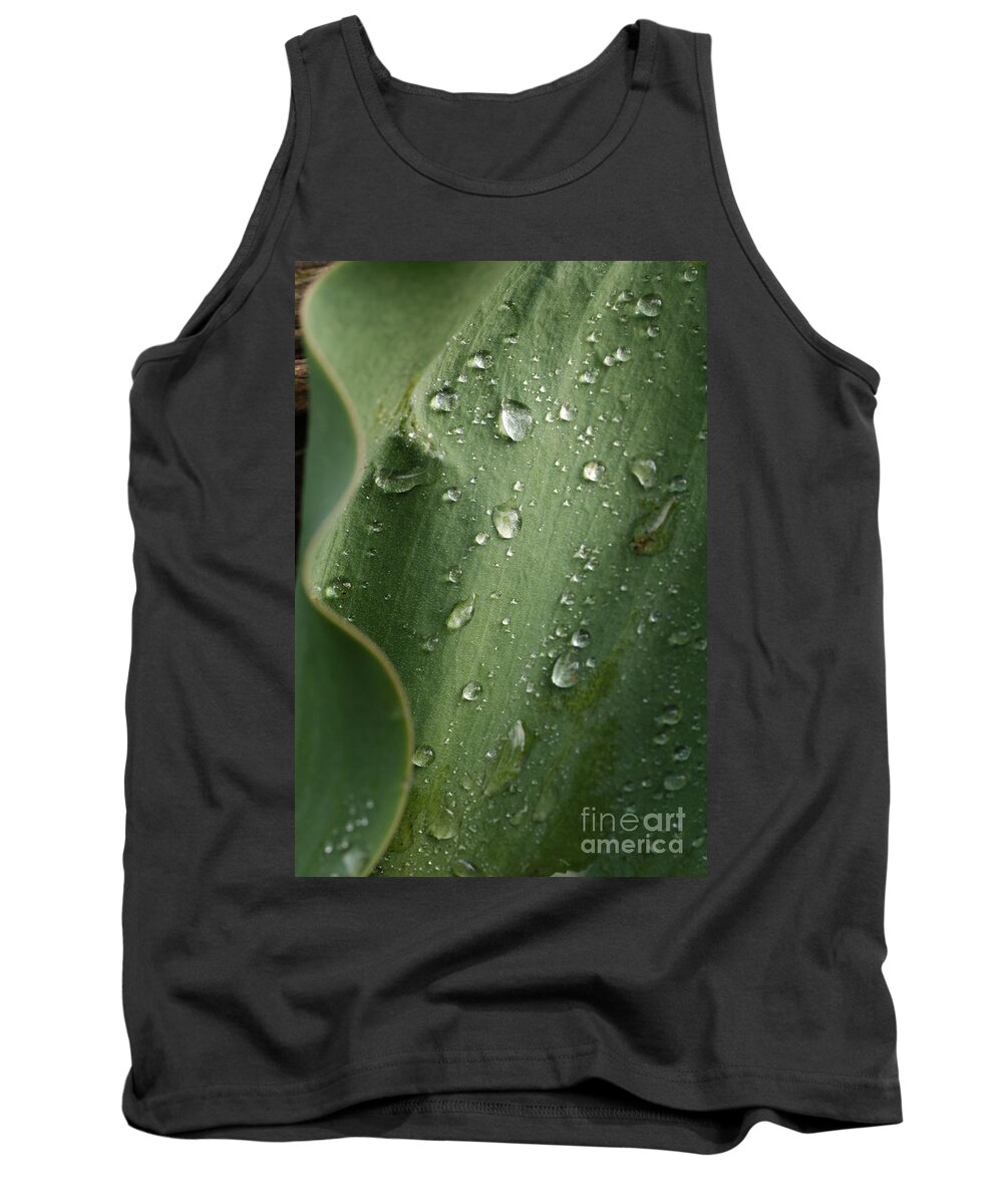 Rain Tank Top featuring the photograph After the rain 2 by Loni Collins