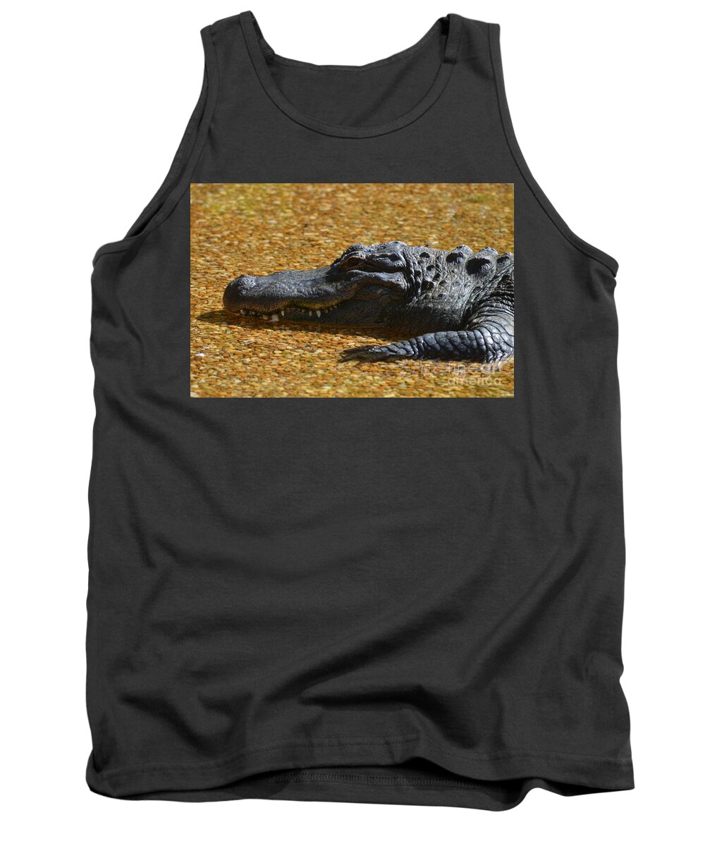 Alligator Tank Top featuring the photograph Alligator by DejaVu Designs