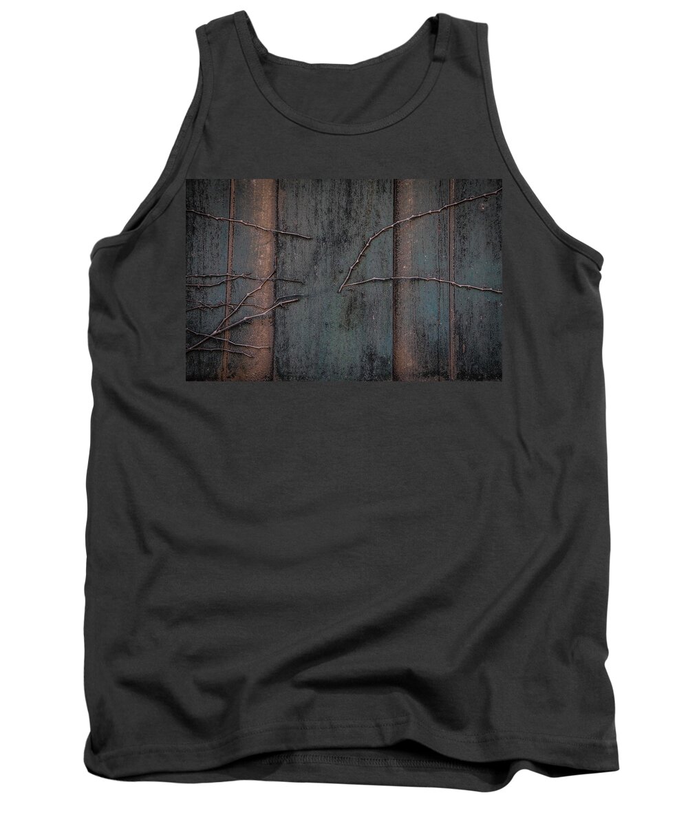 Ivy Tank Top featuring the photograph Almost Ivy by Ray Congrove