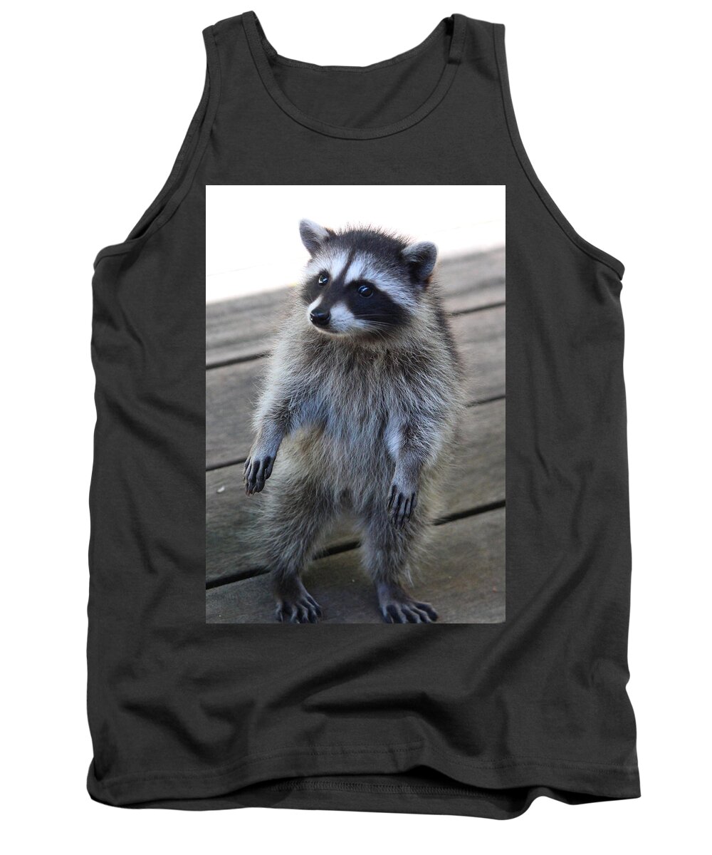 Mammals Tank Top featuring the photograph Am I early for Dance Class? by Kym Backland