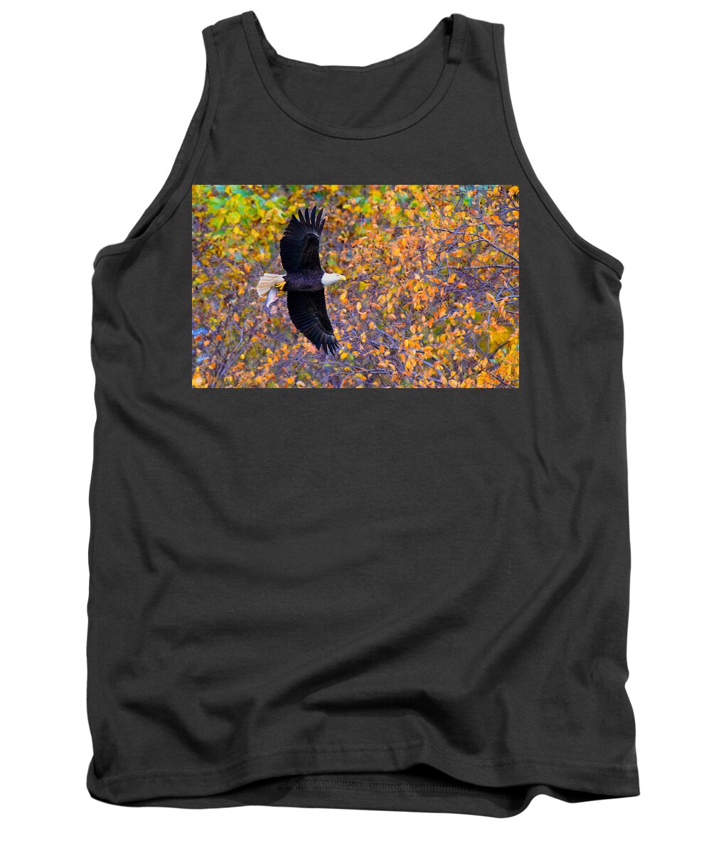 Eagle Tank Top featuring the photograph American Eagle in Autumn by William Jobes