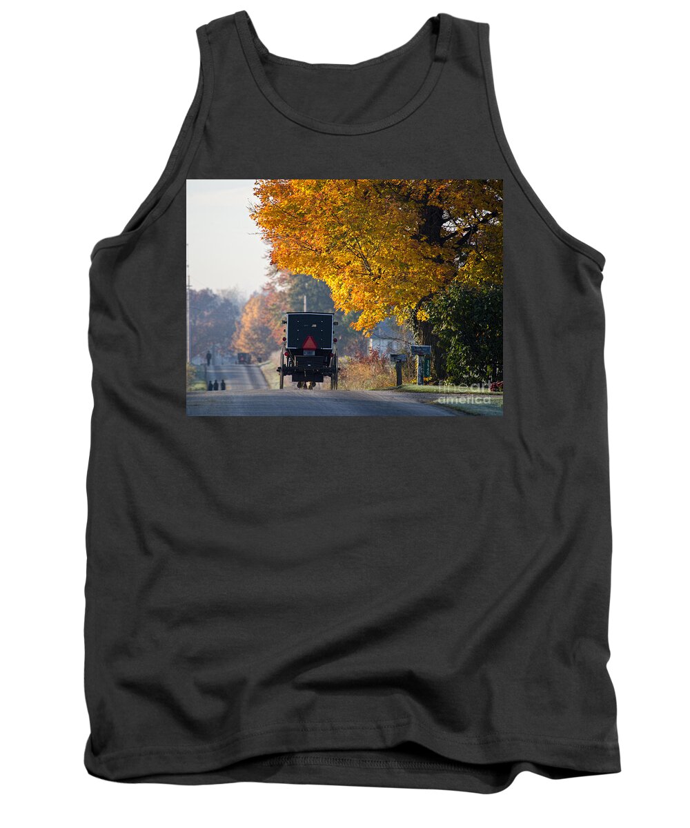 Amish Tank Top featuring the photograph Amish Buggy Fall 2014 by David Arment
