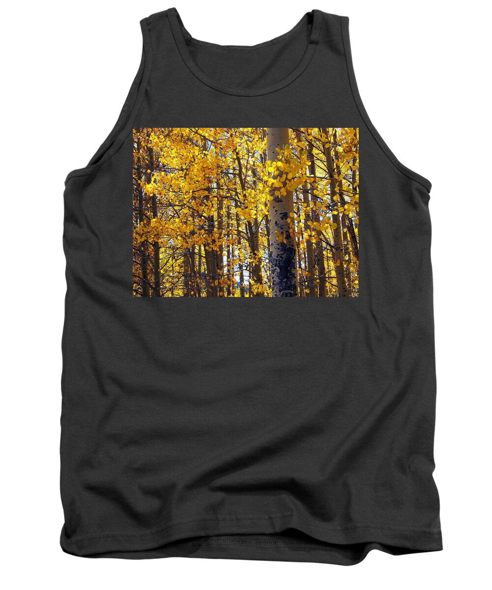 Aspen Tank Top featuring the photograph Among the Aspen Trees in Fall by Amy McDaniel
