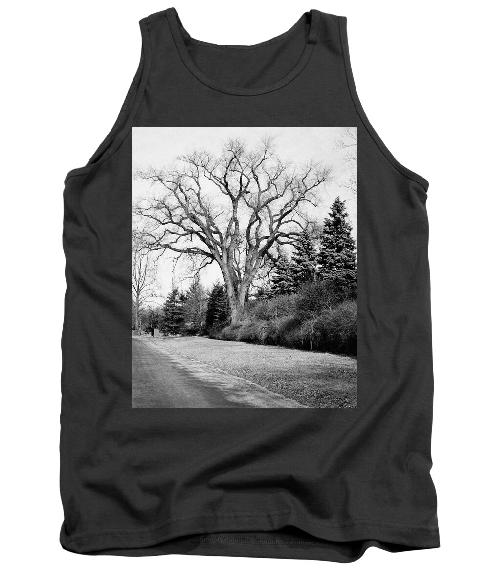 Exterior Tank Top featuring the photograph An Elm Tree At The Side Of A Road by Tom Leonard