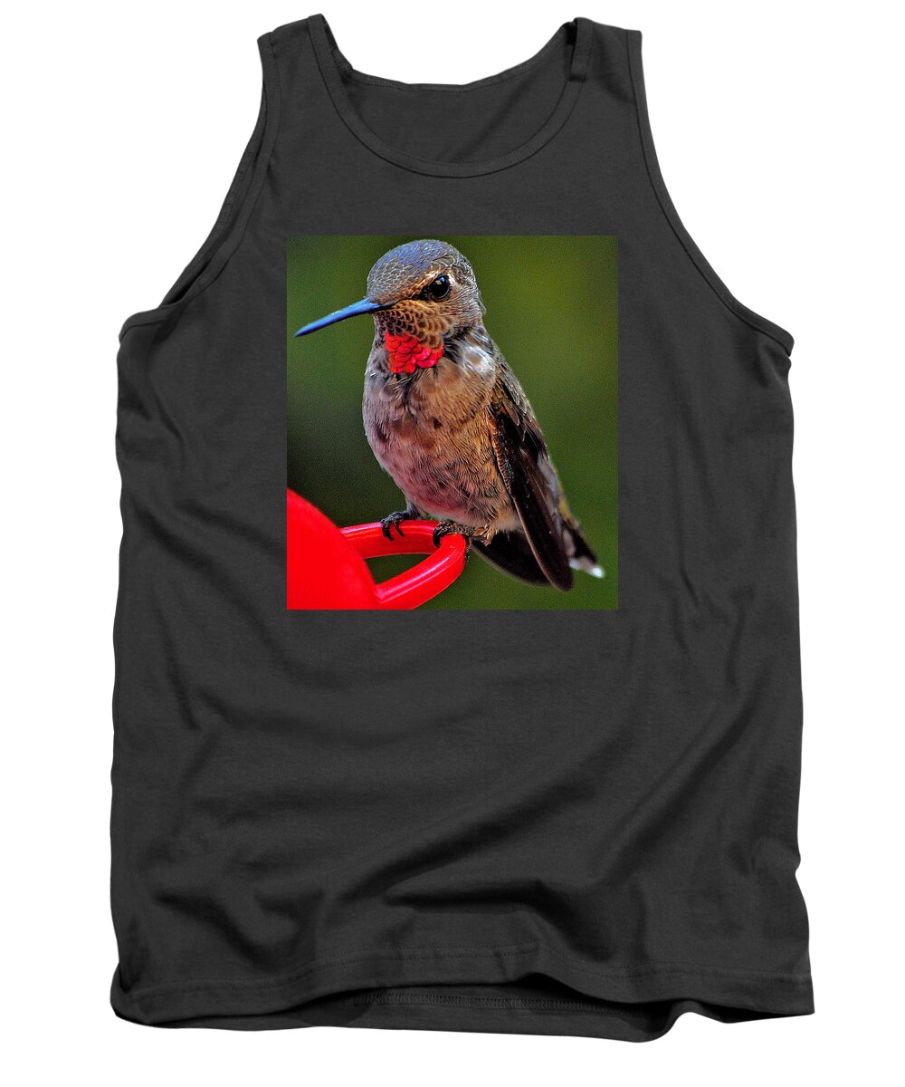Hummingbird Tank Top featuring the photograph Anna's With Red Necklace by Jay Milo