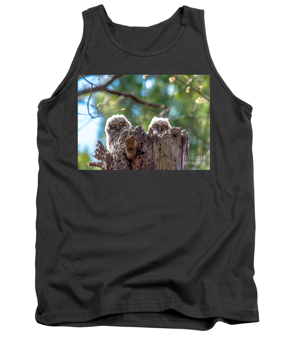 Pair Tank Top featuring the photograph Another Edit Peek a hoooo by Cheryl Baxter