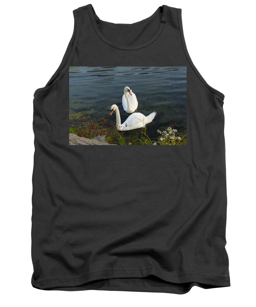 Swans Couple Tank Top featuring the photograph Appreciation of Love by Lingfai Leung